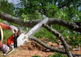 Mulching Services in Pine Canyon, CA